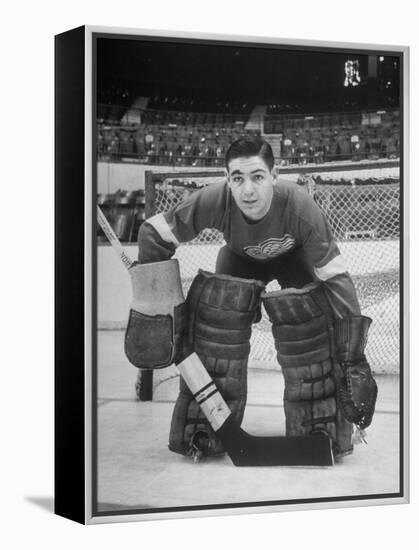 Terry Sawchuck, Star Goalie for the Detroit Red Wings, Posing in Front of Goal at Ice Arena-Alfred Eisenstaedt-Framed Premier Image Canvas