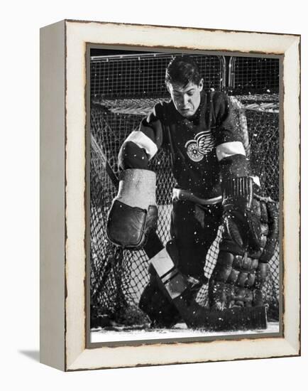 Terry Sawchuck, Star Goalie for the Detroit Red Wings, Warding Off Shot on Goal, at Ice Arena-Joe Scherschel-Framed Premier Image Canvas