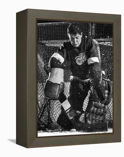 Terry Sawchuck, Star Goalie for the Detroit Red Wings, Warding Off Shot on Goal, at Ice Arena-Joe Scherschel-Framed Premier Image Canvas