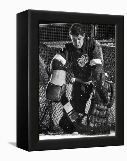 Terry Sawchuck, Star Goalie for the Detroit Red Wings, Warding Off Shot on Goal, at Ice Arena-Joe Scherschel-Framed Premier Image Canvas