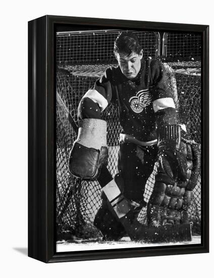 Terry Sawchuck, Star Goalie for the Detroit Red Wings, Warding Off Shot on Goal, at Ice Arena-Joe Scherschel-Framed Premier Image Canvas