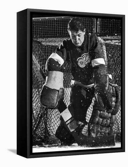 Terry Sawchuck, Star Goalie for the Detroit Red Wings, Warding Off Shot on Goal, at Ice Arena-Joe Scherschel-Framed Premier Image Canvas