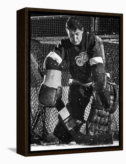 Terry Sawchuck, Star Goalie for the Detroit Red Wings, Warding Off Shot on Goal, at Ice Arena-Joe Scherschel-Framed Premier Image Canvas