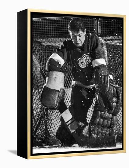 Terry Sawchuck, Star Goalie for the Detroit Red Wings, Warding Off Shot on Goal, at Ice Arena-Joe Scherschel-Framed Premier Image Canvas