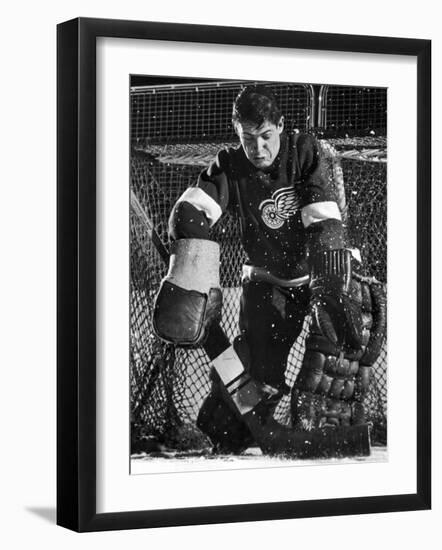 Terry Sawchuck, Star Goalie for the Detroit Red Wings, Warding Off Shot on Goal, at Ice Arena-Joe Scherschel-Framed Premium Photographic Print