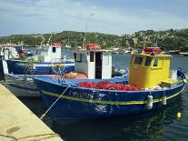 Boats Beside a Bridge over the Temo River at Bosa on the Island of Sardinia, Italy, Europe-Terry Sheila-Photographic Print