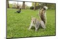 Premium Photographic Print
