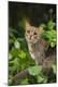 Premium Photographic Print