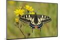 Premium Photographic Print