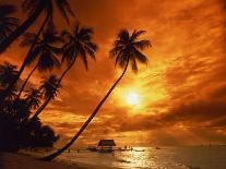Sunset at Pigeon Point, Tobago, Caribbean-Terry Why-Photographic Print