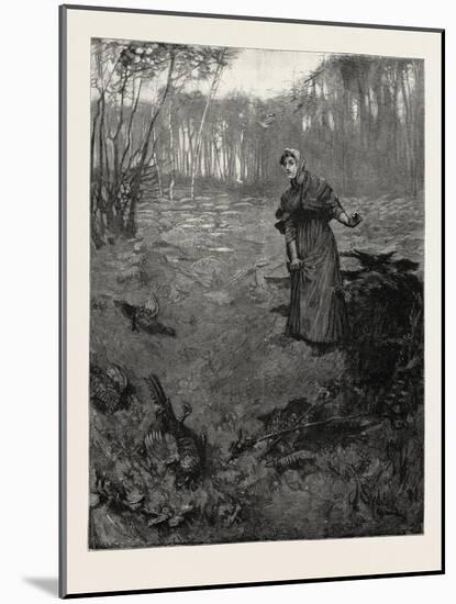 Tess of the D'Urbervilles: The Plantation Wherein She Had Taken Shelter Ran Down at This Spot into-null-Mounted Giclee Print