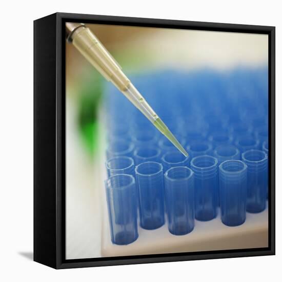 Test Tube Experiment-Tim Pannell-Framed Premier Image Canvas