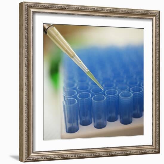 Test Tube Experiment-Tim Pannell-Framed Photographic Print