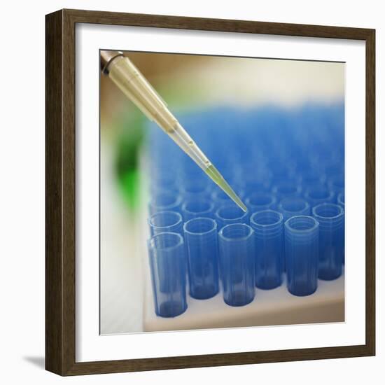 Test Tube Experiment-Tim Pannell-Framed Photographic Print