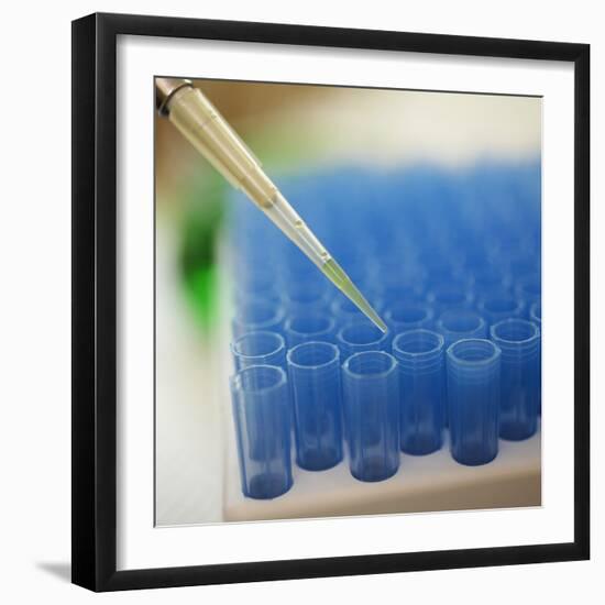 Test Tube Experiment-Tim Pannell-Framed Photographic Print