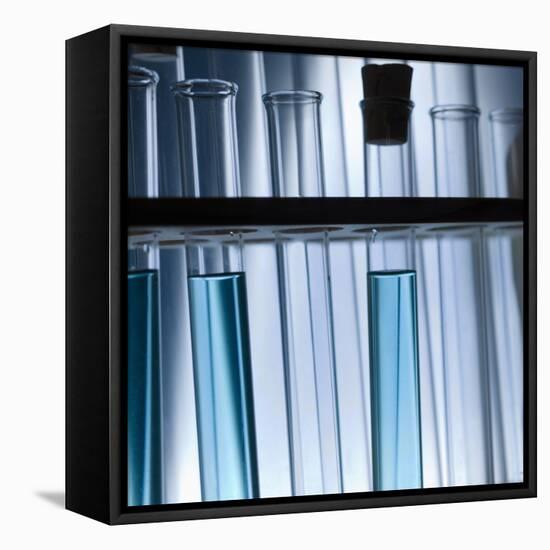 Test Tubes-null-Framed Premier Image Canvas