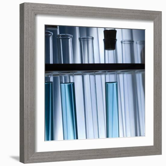 Test Tubes-null-Framed Photographic Print