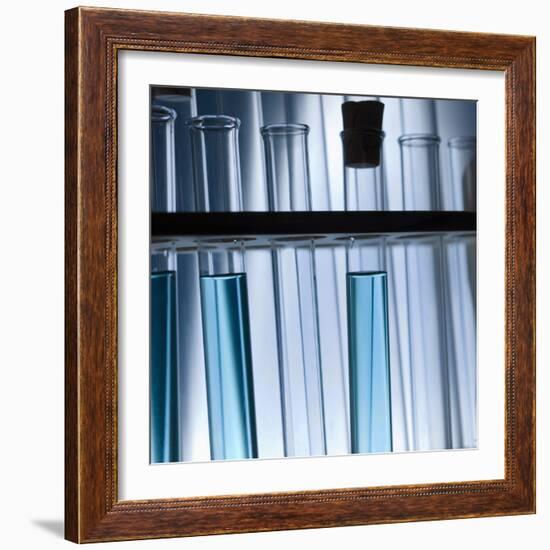 Test Tubes-null-Framed Photographic Print