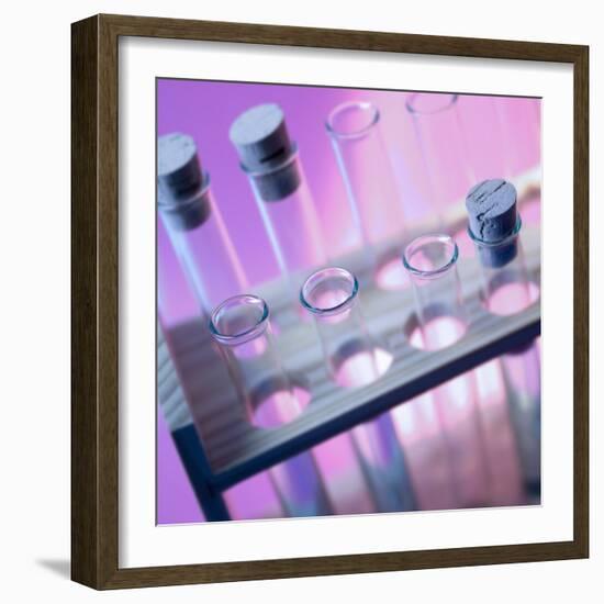 Test Tubes-null-Framed Photographic Print