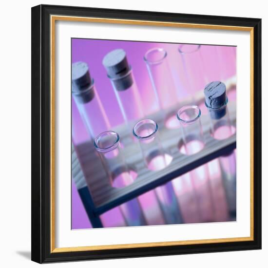 Test Tubes-null-Framed Photographic Print