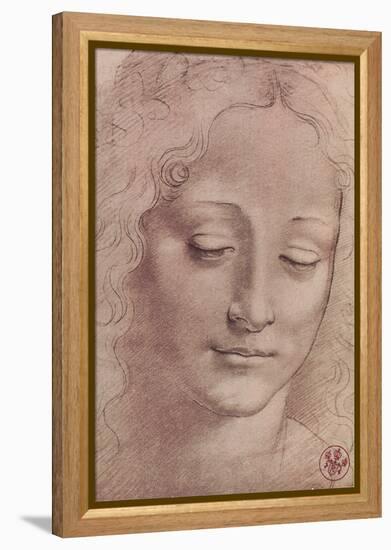 Testa di Giovinetta-Leonardo da Vinci-Framed Stretched Canvas