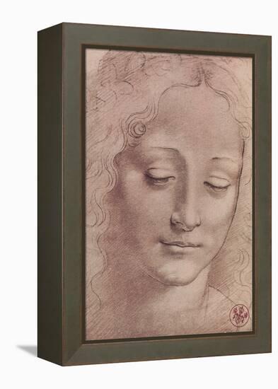 Testa di Giovinetta-Leonardo da Vinci-Framed Stretched Canvas