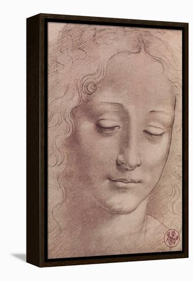 Testa di Giovinetta-Leonardo da Vinci-Framed Stretched Canvas