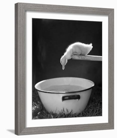 Testing the Water-The Chelsea Collection-Framed Giclee Print