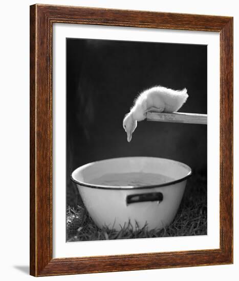 Testing the Water-The Chelsea Collection-Framed Giclee Print