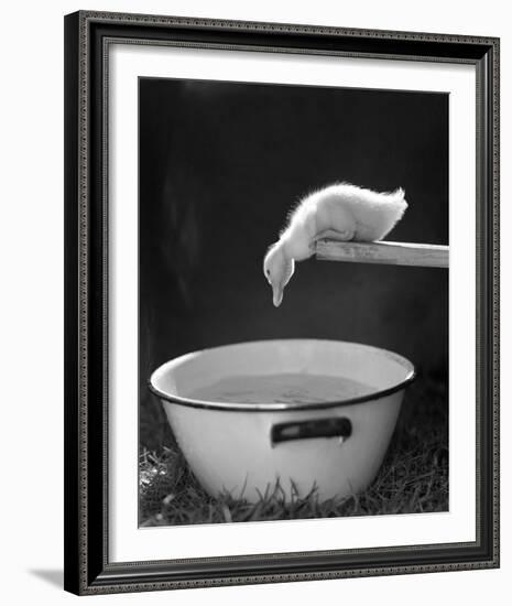 Testing the Water-The Chelsea Collection-Framed Giclee Print