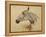 Testo Di Cavallo-Henri de Toulouse-Lautrec-Framed Premier Image Canvas