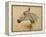 Testo Di Cavallo-Henri de Toulouse-Lautrec-Framed Premier Image Canvas