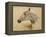 Testo Di Cavallo-Henri de Toulouse-Lautrec-Framed Premier Image Canvas