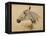 Testo Di Cavallo-Henri de Toulouse-Lautrec-Framed Premier Image Canvas