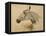 Testo Di Cavallo-Henri de Toulouse-Lautrec-Framed Premier Image Canvas