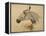 Testo Di Cavallo-Henri de Toulouse-Lautrec-Framed Premier Image Canvas