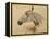 Testo Di Cavallo-Henri de Toulouse-Lautrec-Framed Premier Image Canvas