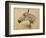 Testo Di Cavallo-Henri de Toulouse-Lautrec-Framed Giclee Print