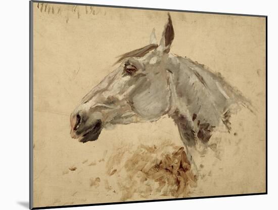 Testo Di Cavallo-Henri de Toulouse-Lautrec-Mounted Giclee Print