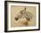 Testo Di Cavallo-Henri de Toulouse-Lautrec-Framed Giclee Print