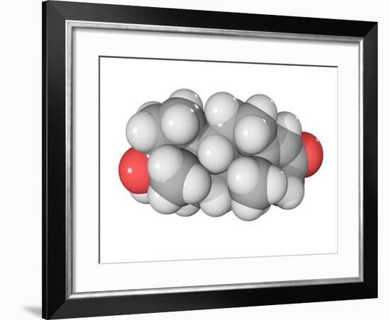 Testosterone Hormone, Molecular Model-Laguna Design-Framed Photographic Print