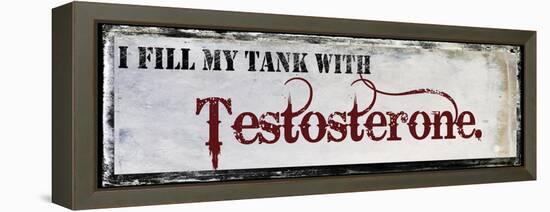 Testosterone-null-Framed Premier Image Canvas