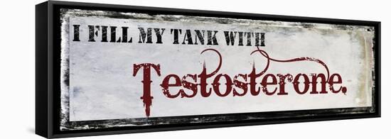 Testosterone-null-Framed Premier Image Canvas