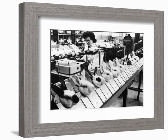Tests On Animals, 1957-null-Framed Photographic Print
