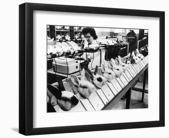 Tests On Animals, 1957--Framed Photographic Print