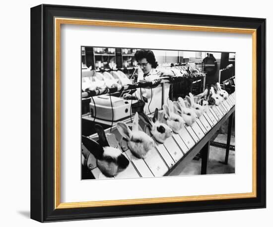 Tests On Animals, 1957-null-Framed Photographic Print