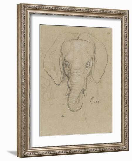 Tête d'éléphant-Charles Le Brun-Framed Giclee Print