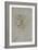 Tête d'enfant de trois quarts-Leonardo da Vinci-Framed Giclee Print