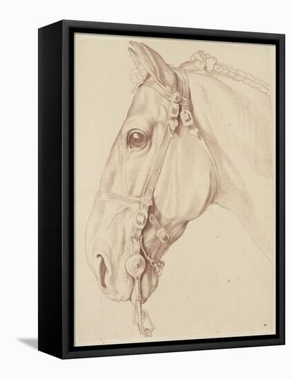 Tête de cheval bridée, tournée vers la gauche-Edme Bouchardon-Framed Premier Image Canvas
