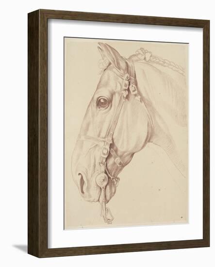 Tête de cheval bridée, tournée vers la gauche-Edme Bouchardon-Framed Giclee Print